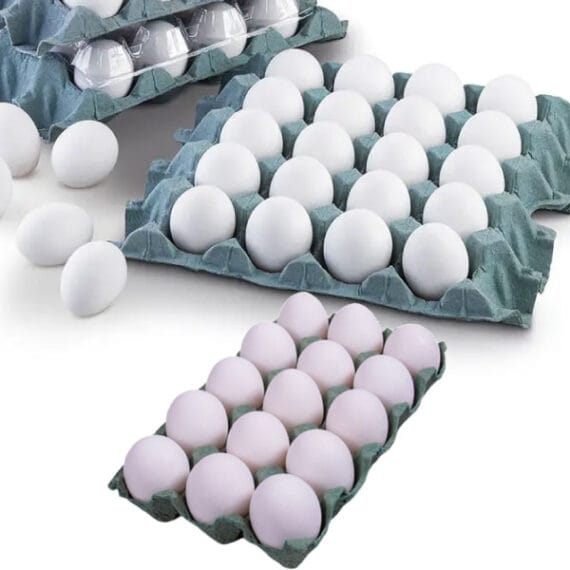 OVOS DE GALINHA